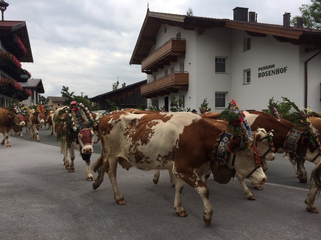 Pension Rosenhof Brixen im Thale Eksteriør bilde